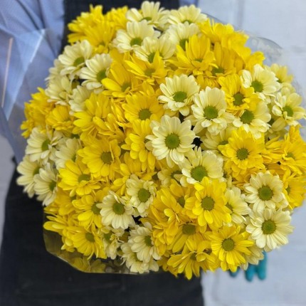 желтая кустовая хризантема - купить с доставкой в по Новогорному